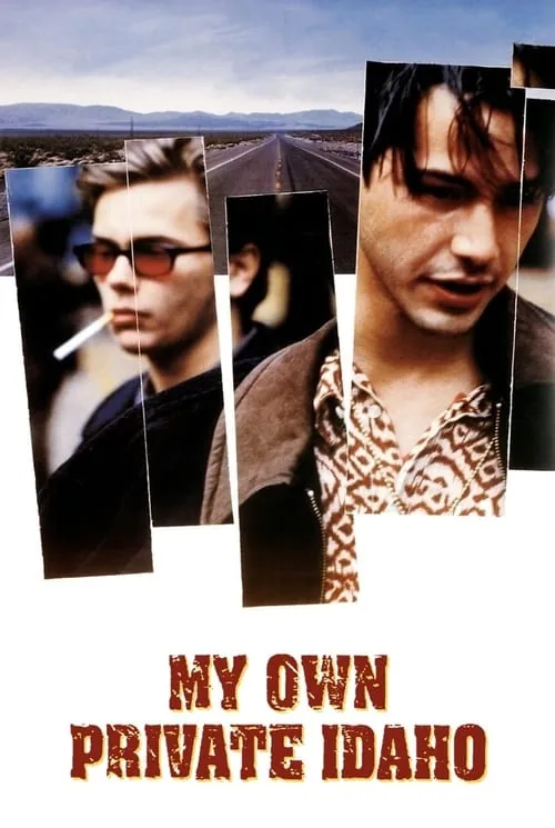 Benim Güzel Idaho'm film afişi