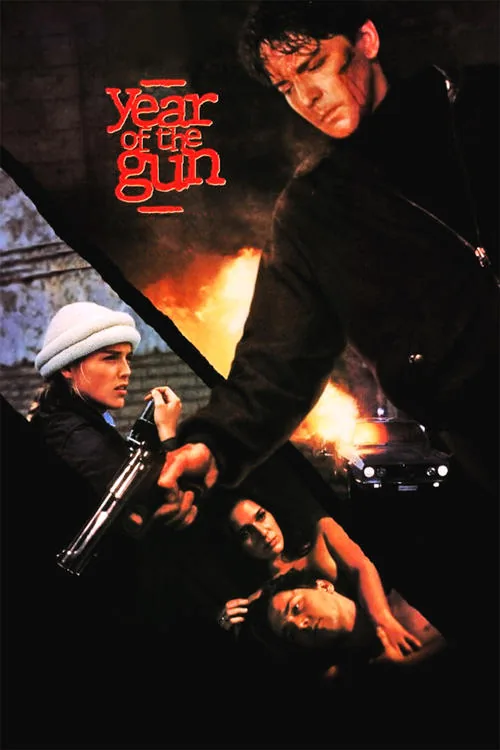 Şiddet Yılı film afişi