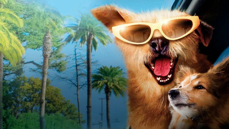 Dr. Dolittle: Milyon Dolarlık Köpek sahne 4