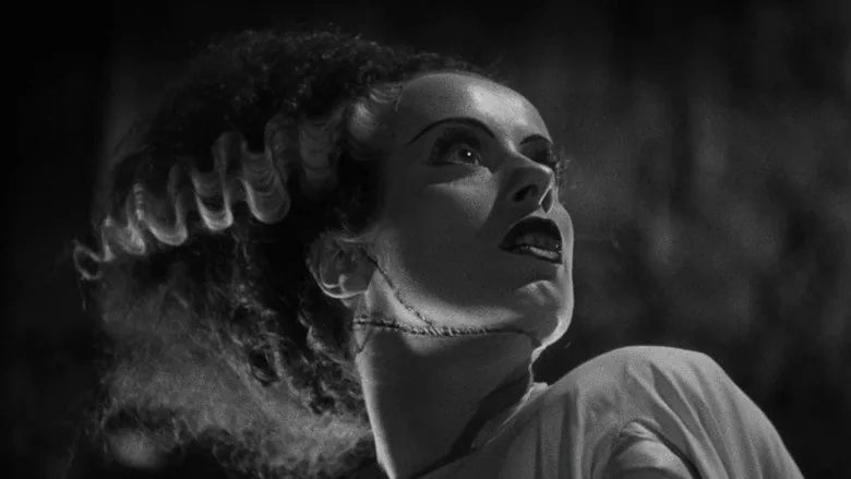 Frankenstein’in Gelini sahne 6